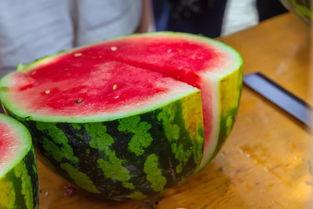 昆明经管学院吃瓜,校园生活趣味瞬间大揭秘