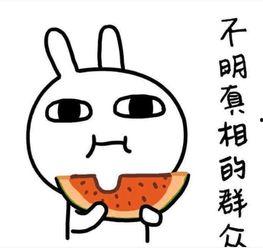 沉迷吃瓜的文案搞笑