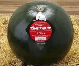 专业的吃瓜大王